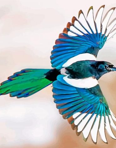 Magpie Bird Paint By Numbers