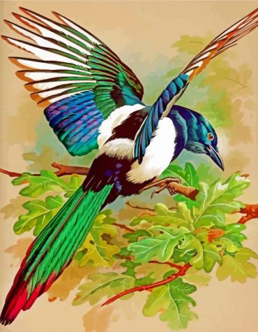 Magpie Bird Painting Kit Paint By Numbers