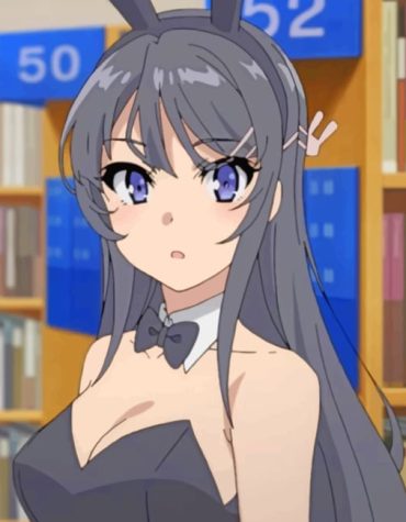 Mai Sakurajima Anime Paint By Numbers