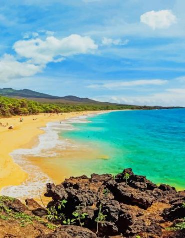 Makena Beach Seascape Paint By Numbers