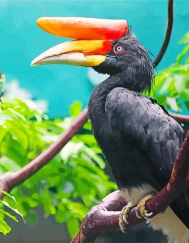 Great Hornbill Malaysia Paint By Numbers