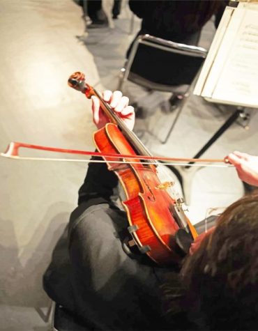 Man with Violin Paint By Numbers