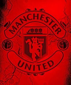 Manchester United Logo Paint By Numbers