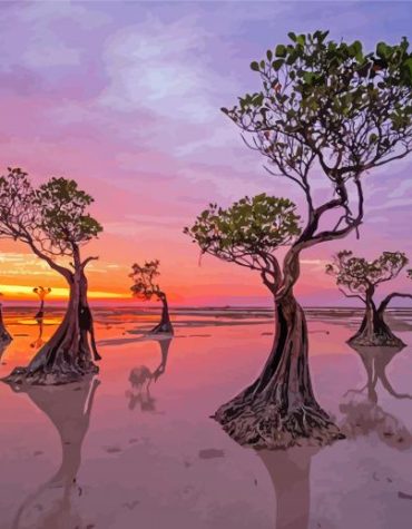 Sunset Mangrove Landscapes Paint By Numbers