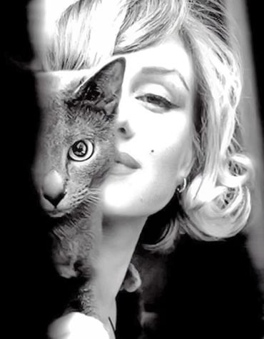Marilyn Monroe and Cat Paint By Numbers