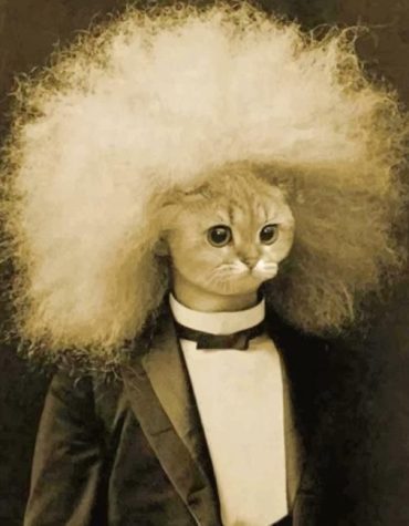 Einstein Cat Portrait Paint By Numbers