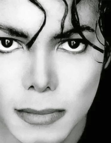 Michael Jackson Celebrity Collection Paint By Numbers