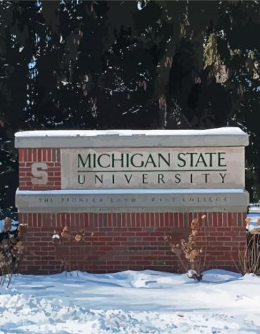 Winter Wonderland at Michigan State Paint By Numbers
