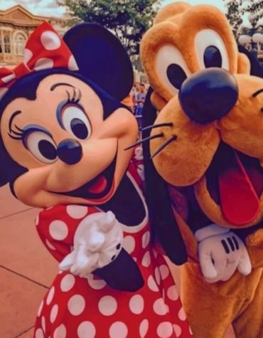 Minnie Mouse and Pluto Magic Paint By Numbers
