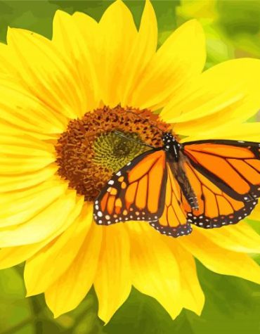 Monarch Butterfly and Yellow Blooms Paint By Numbers