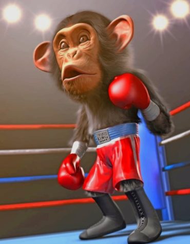 Monkey Boxer Painting Fun Paint By Numbers