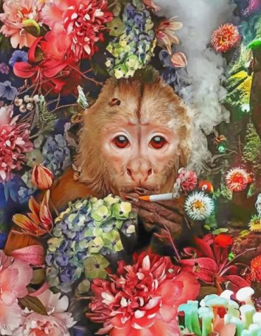 Smoking Monkey Paint By Numbers