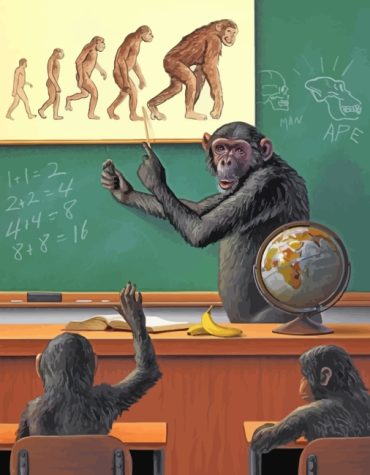 Monkey Animal Fun Paint By Numbers