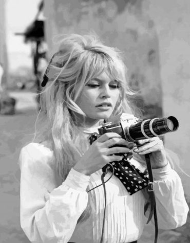 Bridget Bardot Iconic Movies Paint By Numbers
