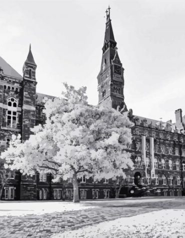 Monochrome Georgetown University Paint By Numbers