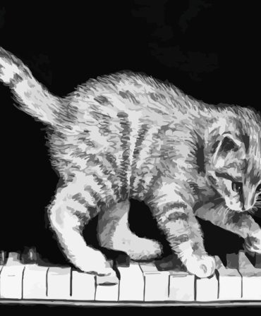 Monochrome Cat on Piano Paint By Numbers