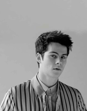 Black and White Dylan O Brien Paint By Numbers
