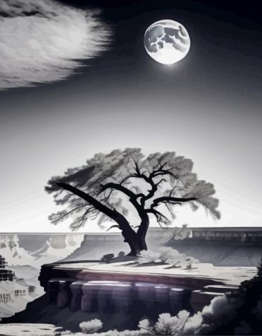 Black and White Nature Landscapes Paint By Numbers