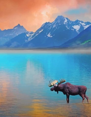 Majestic Moose Painting Paint By Numbers