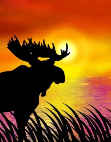 Moose Silhouette Wildlife Paint By Numbers