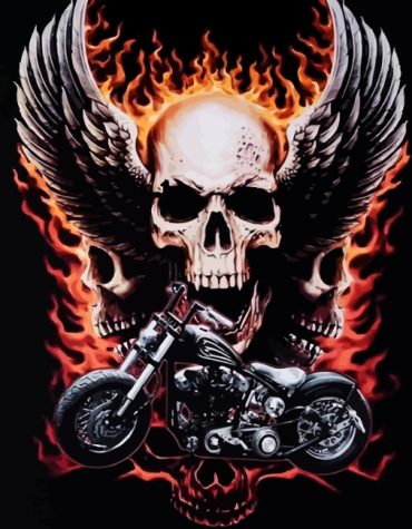 Floral Skull Art Paint By Numbers