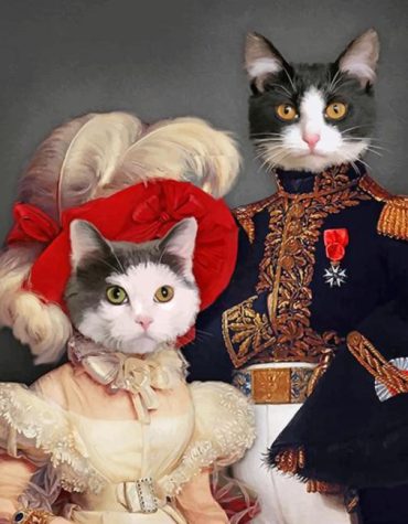 Mr Cat and Mrs Meow Paint By Numbers