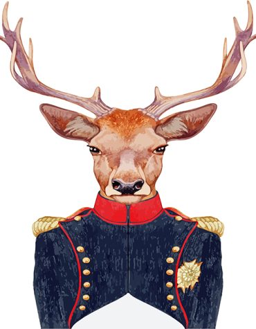 Deer Majesty Paint By Numbers