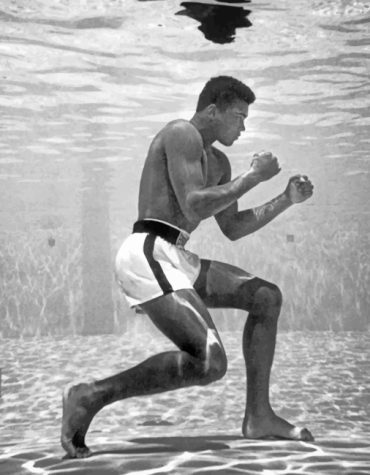 Muhammad Ali Boxing Legend Paint By Numbers