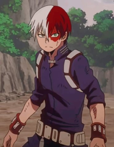My Hero Academia Todoroki Paint By Numbers