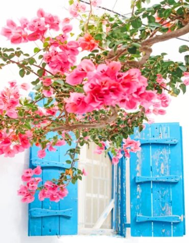 Mykonos Pink Flower Paint By Numbers