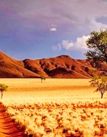 Namibrand Landscape Paint By Numbers