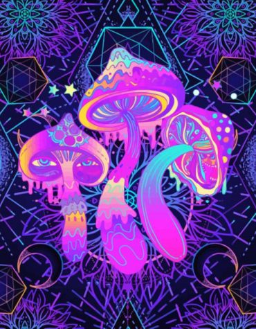 Neon Mushroom Fantasy Paint By Numbers
