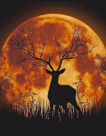 Moonlit Deer Silhouette Paint By Numbers