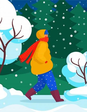 Winter Night Snowfall Paint By Numbers