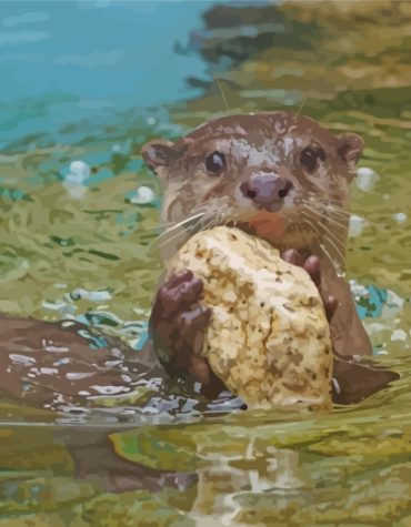 Beaver River Scene Paint By Numbers