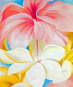 Hibiscus Blooms Georgia O'Keeffe Paint By Numbers