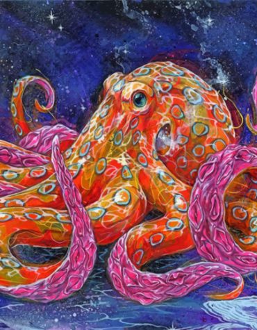Octopus Animal Paint By Numbers