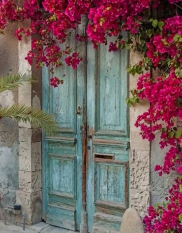Blue Doorways with Flowers Paint By Numbers