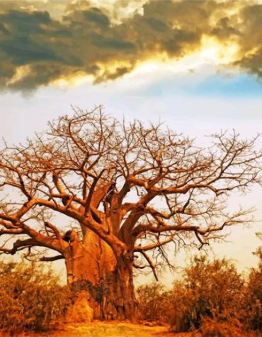 Ancient Baobab Landscapes Paint By Numbers