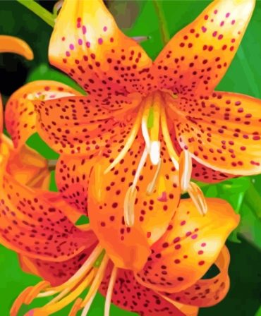 Orange Tiger Bloom Paint By Numbers