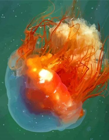 Orange Jellyfish Art Paint By Numbers