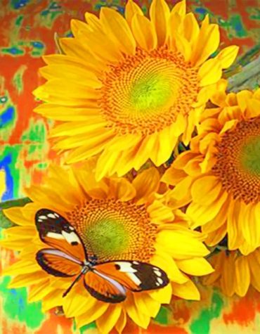 Sunflower Butterfly Delight Paint By Numbers