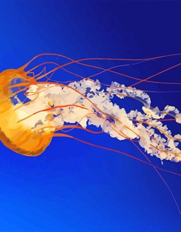 Orange Sea Creature Paint By Numbers