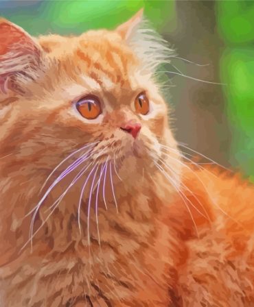 Orange Persian Cat Paint By Numbers