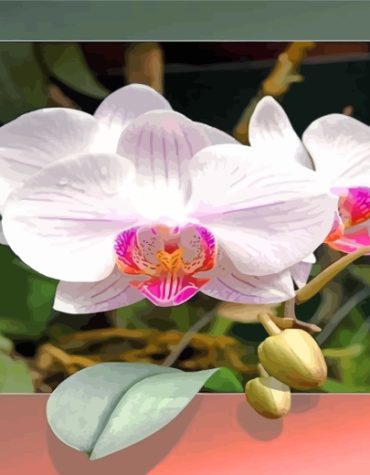 White Orchid Aesthetic Paint By Numbers