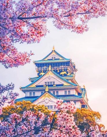 Osaka Castle Scenic Beauty Paint By Numbers