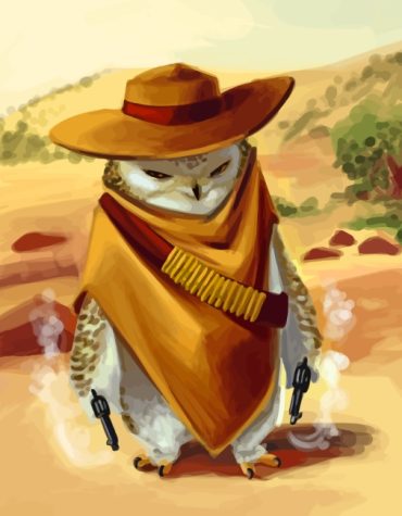 Owl Bandit Wildlife Paint By Numbers