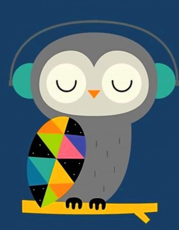 Owl Music Fun Paint By Numbers