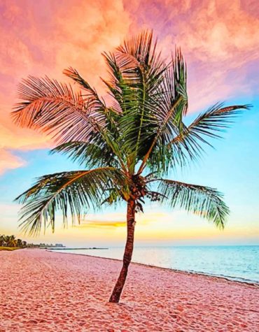 Sunset Paradise Palm Trees Paint By Numbers