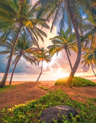 Island Sunset Landscape Paint By Numbers